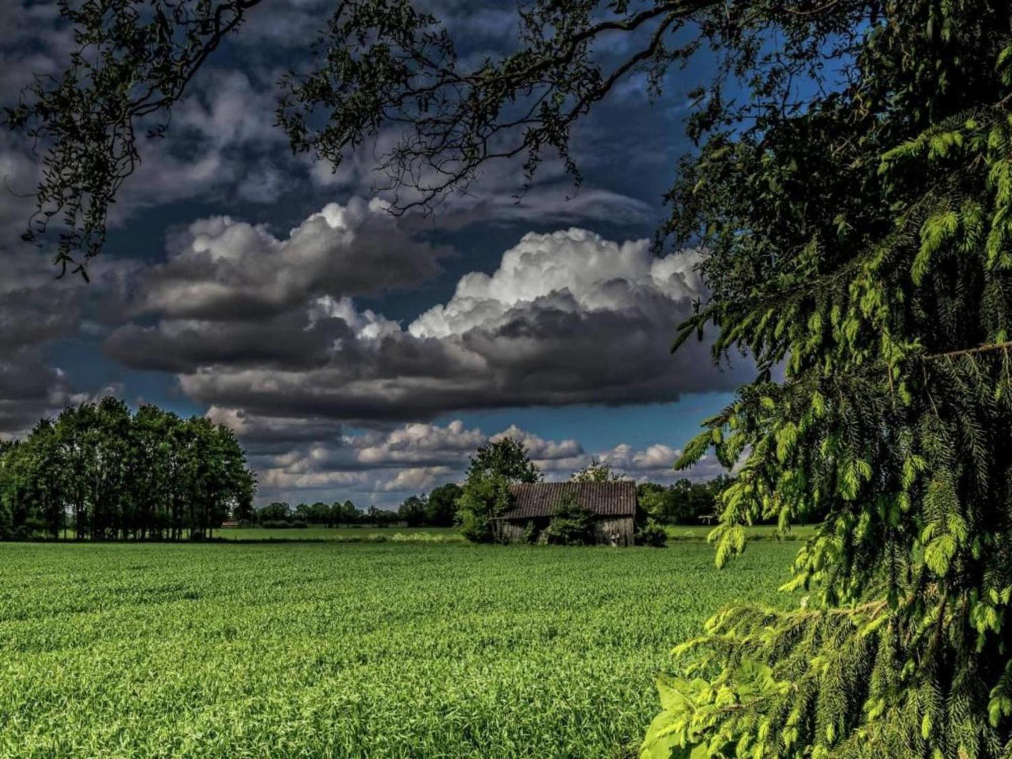Staying In A Thatched Barn With Box Bed Beautiful View Region Achterhoek Geesteren  Экстерьер фото